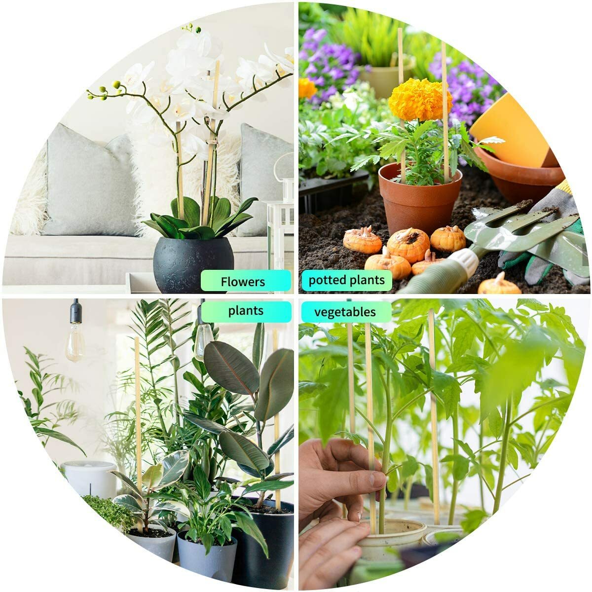 25 Pack 12 Inch Bamboo Plant Stakes, Plant Sticks Support, Floral Plant Support