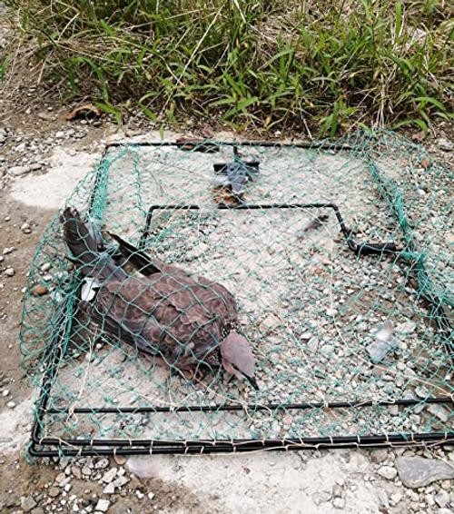 Pigeon Bird Trap Quail Sparrow Spring Starling 19.5″*15.5″*0.35″ 500.0 Grams