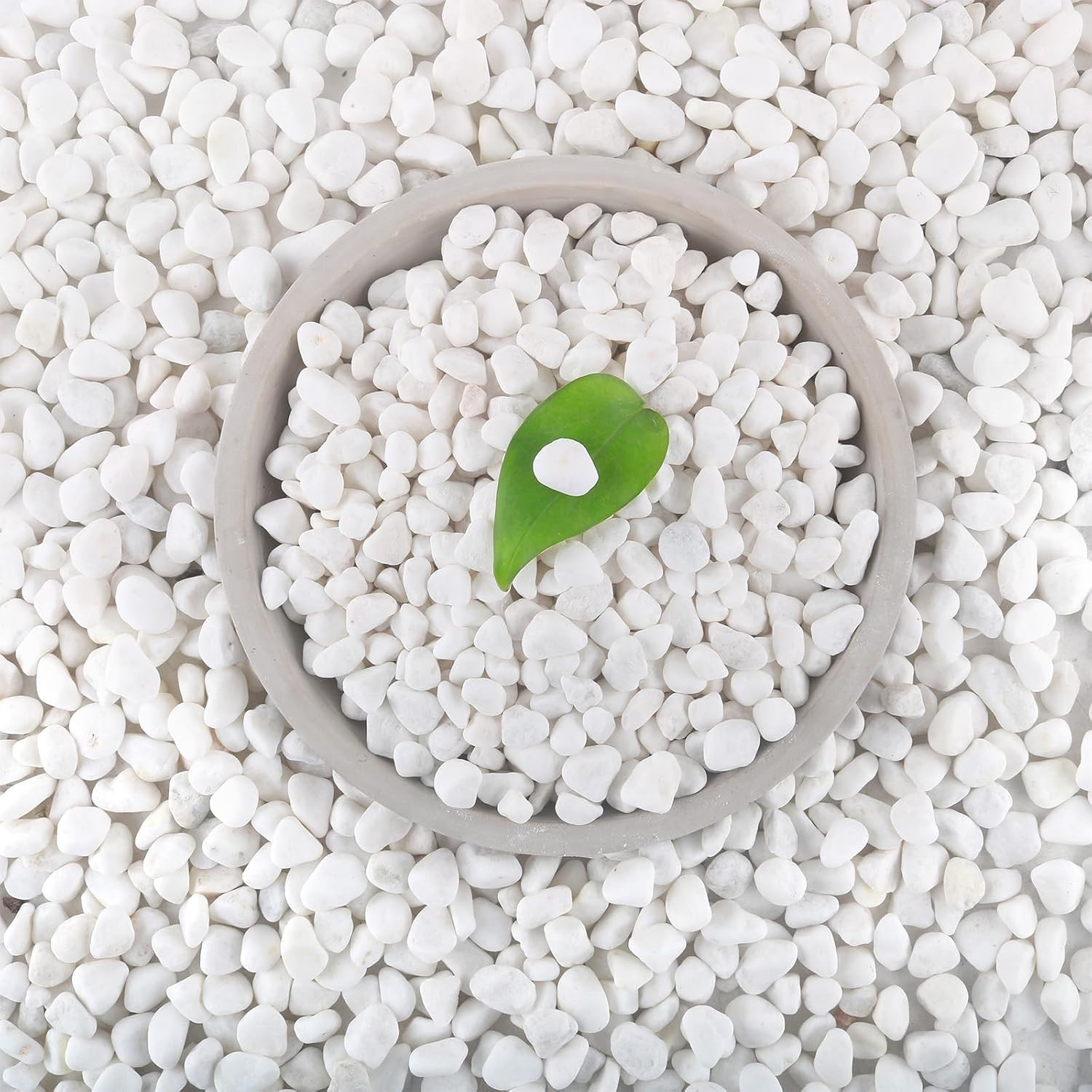 12Lb White Rocks for Plants, 1/4″-3/4″ White Pebbles, Decorative Stones for V…