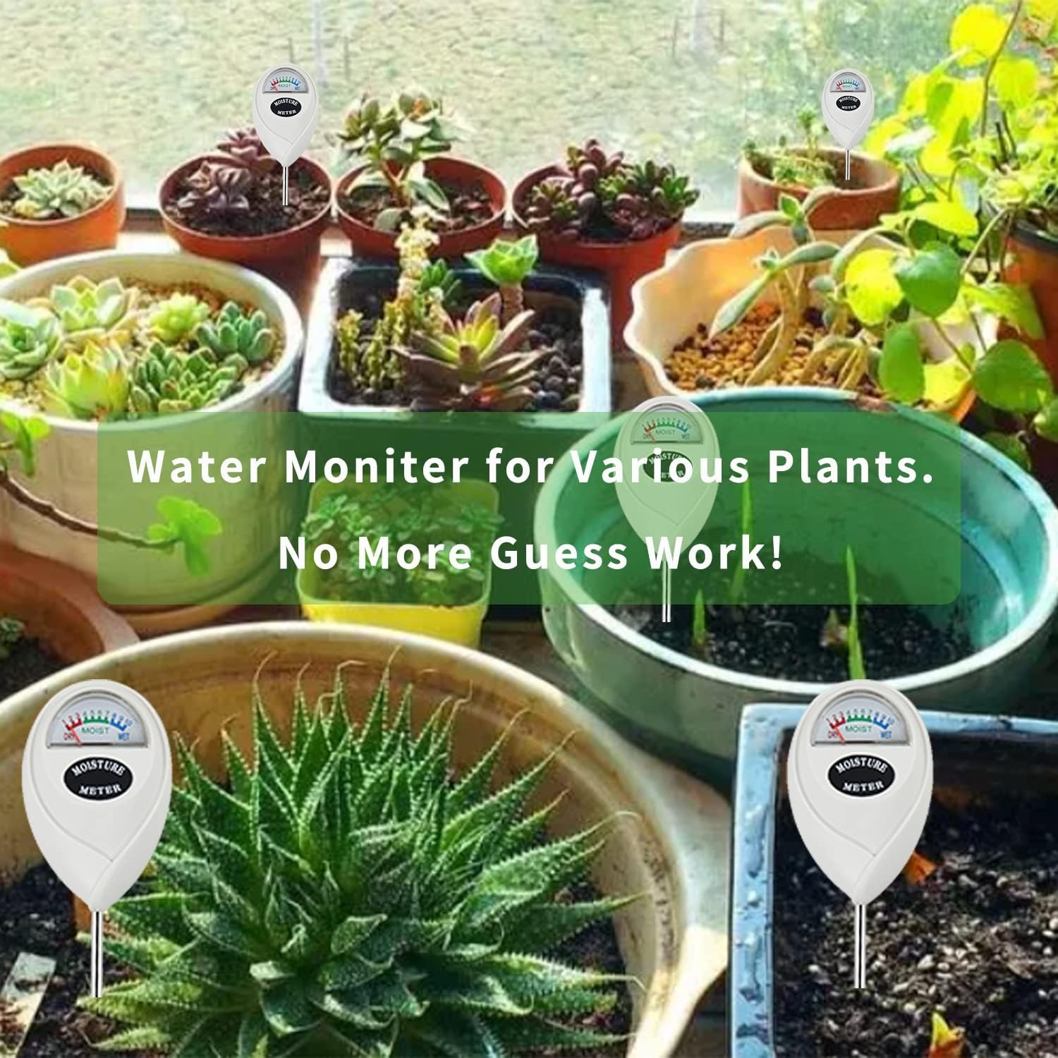 Soil Moisture Meter, Monitor for House Plants, White