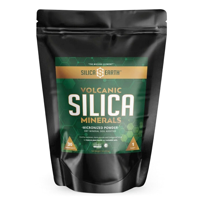 Silica Earth Volcanic Silica Minerals Micronized Powder Developed by Growers