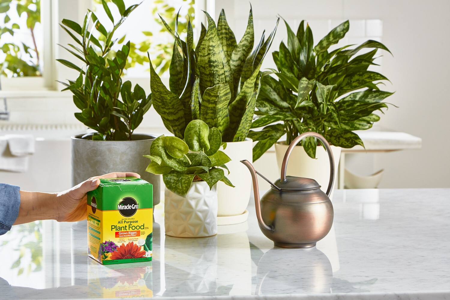 Miracle-Gro Water Soluble All Purpose Plant Food 1.5 lbs.
