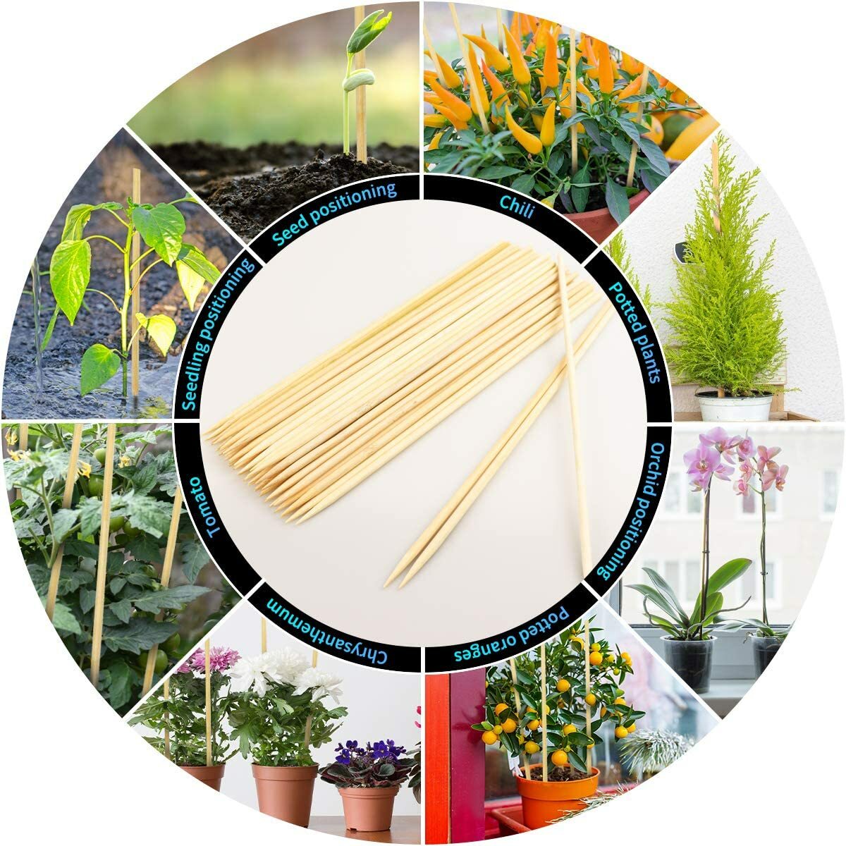 25 Pack 12 Inch Bamboo Plant Stakes, Plant Sticks Support, Floral Plant Support