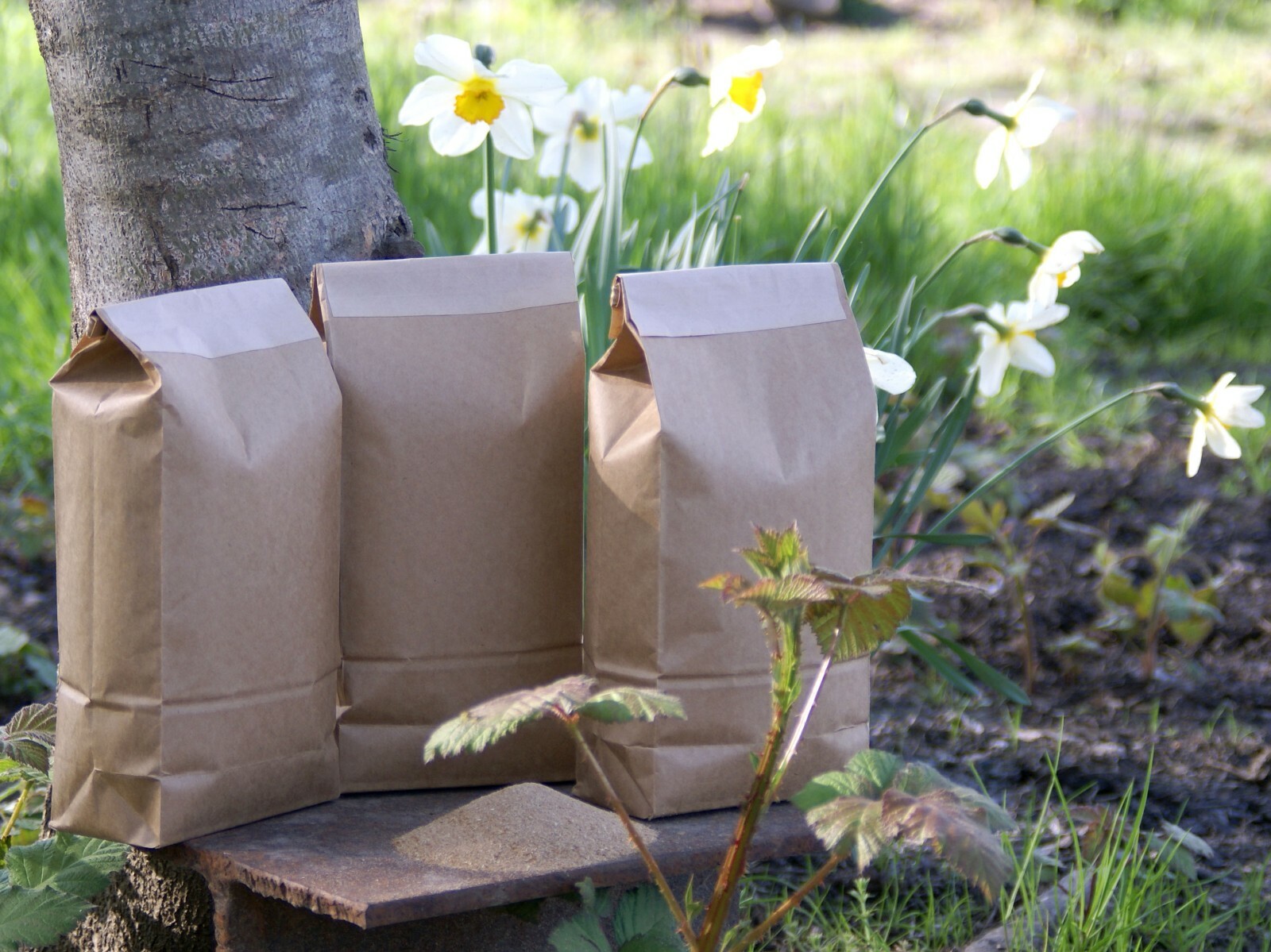 insect frass 10 lbs (5 two pound bags) organic plant food soil amendment