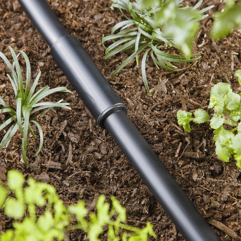 Raindrip 5/8 in. Compression Drip Irrigation Coupler 1 pk (Pack of 75)