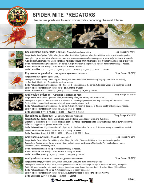NaturesGoodGuys – Amblyseius andersoni – Predatory Spider Mite Control