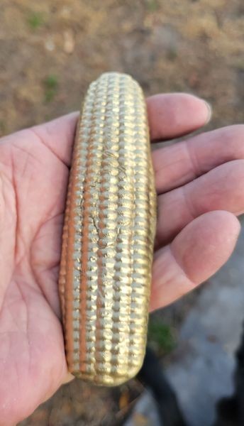 (Nordic GOLD) CORN ART Paper Weight, For the farmer that has everthing…
