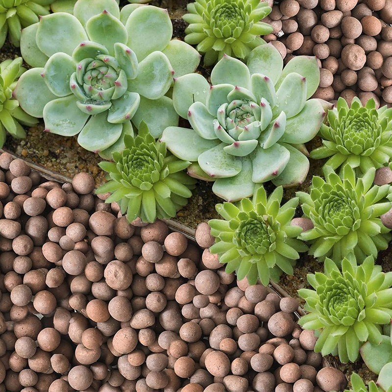 Clay Pebbles for Plants – Pebbles for Indoor Plants Natural Clay