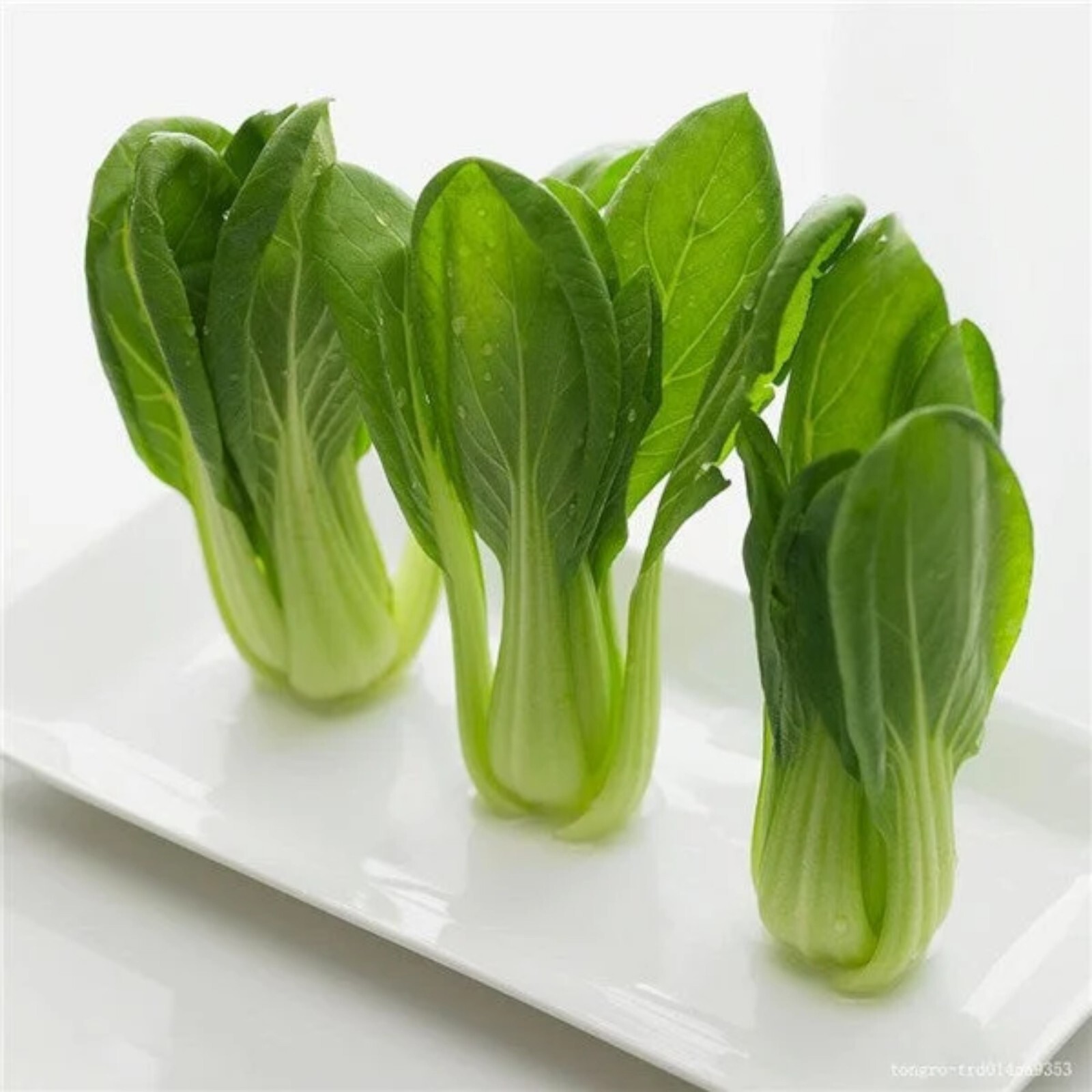 1000pcs ‘All Year Round’ Chinese Cabbage Seeds – Heirloom & Organic, Non-GMO