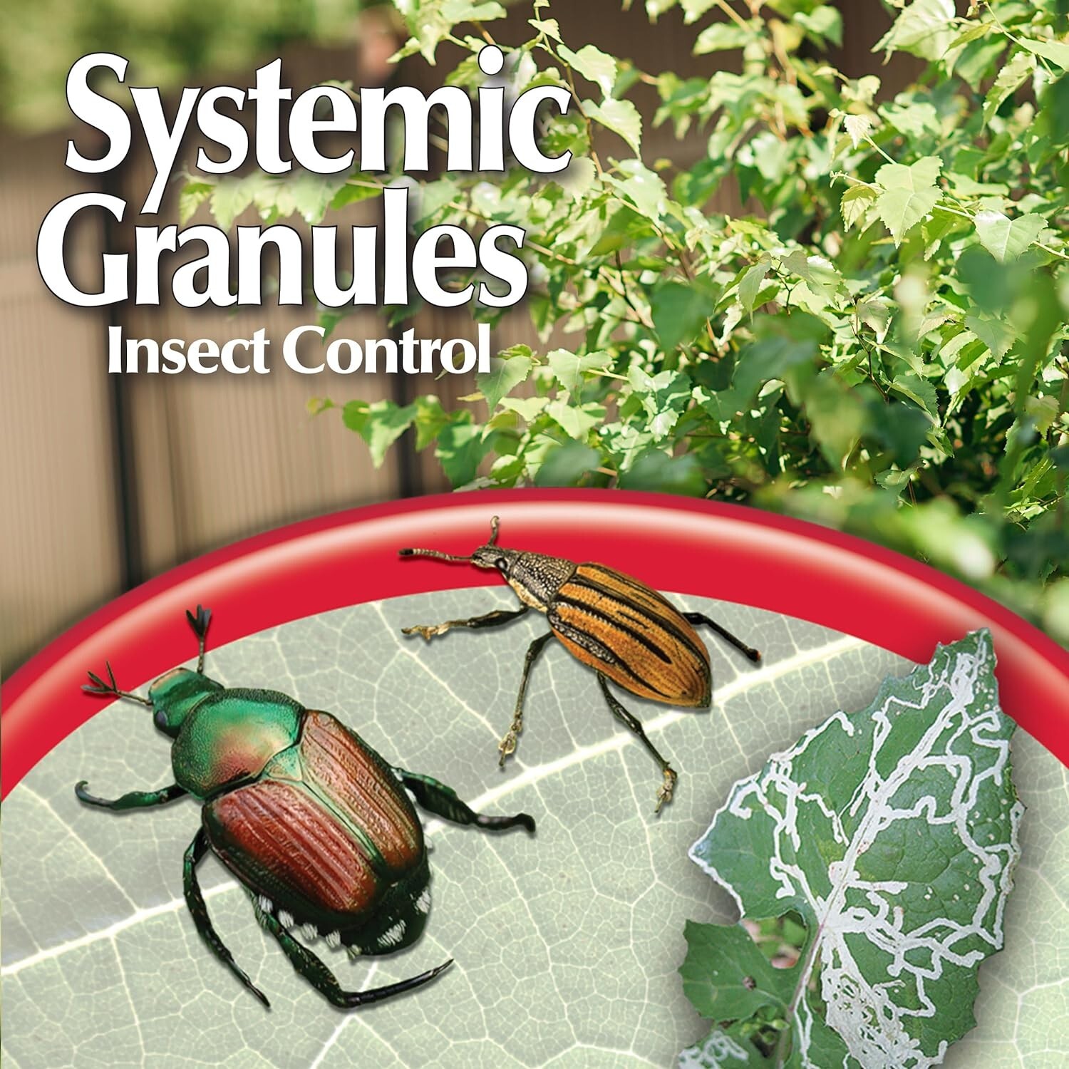 Bonide Insect Control Systemic Granules Ready-to-Use Water Resistant 4 lbs