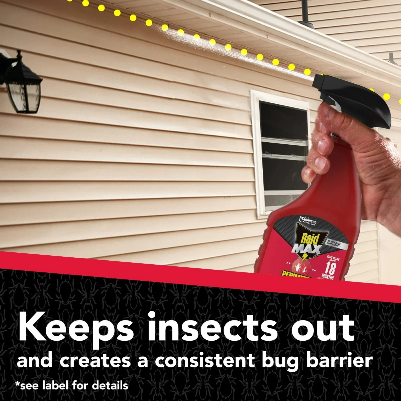 Raid Perimeter Protection Max 22 oz Kills Ants, Roaches, Fleas & Mosquitoes