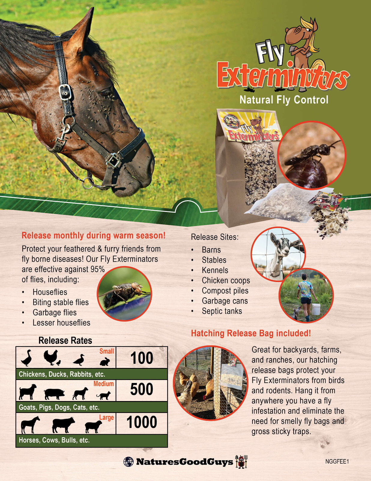 NaturesGoodGuys – Fly Exterminators