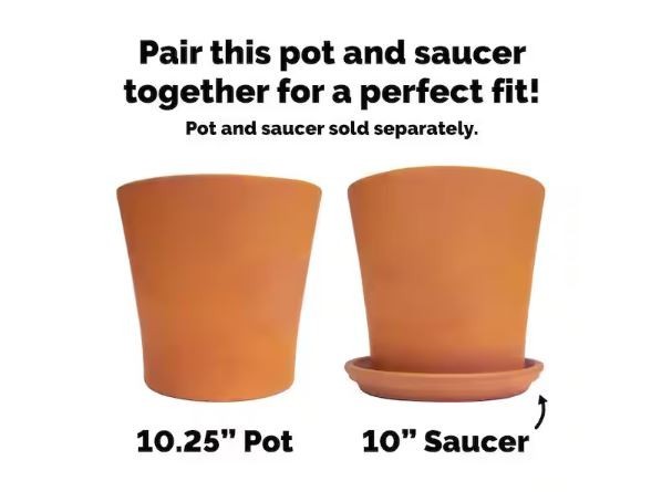 10 in. Medium Terra Cotta Clay Flair Pot Cabo