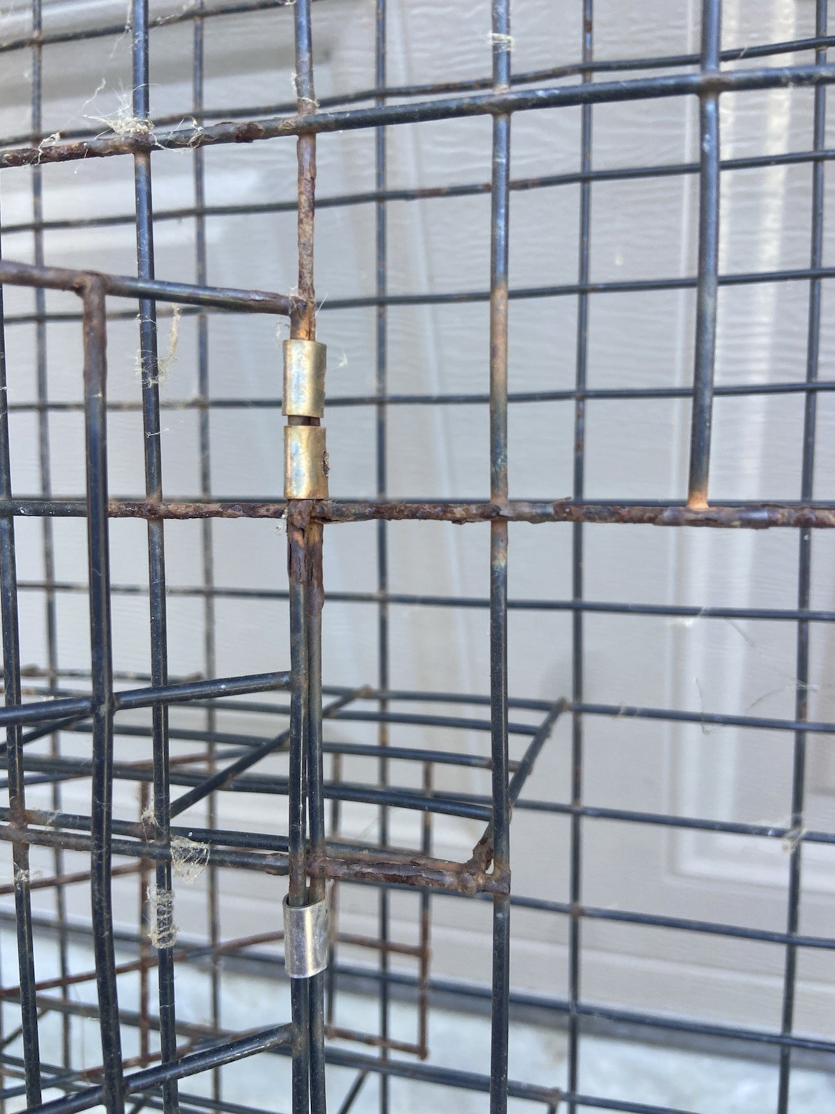 Rugged ranch squirrelinator live animal 2 door metal cage trap