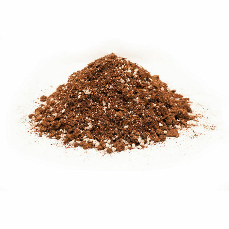 Coconut Coir – Coco Peat & Perlite 50/50 ORGANIC GROWING MEDIA for Garden Plants