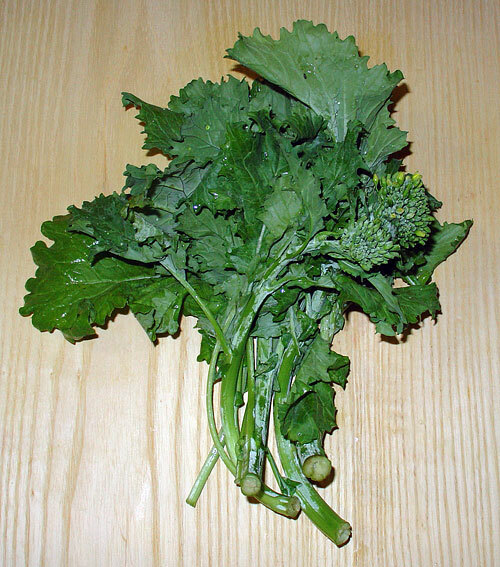 1000 Broccoli Raab Seeds (Rabe, Rapini) Flowering Brassica