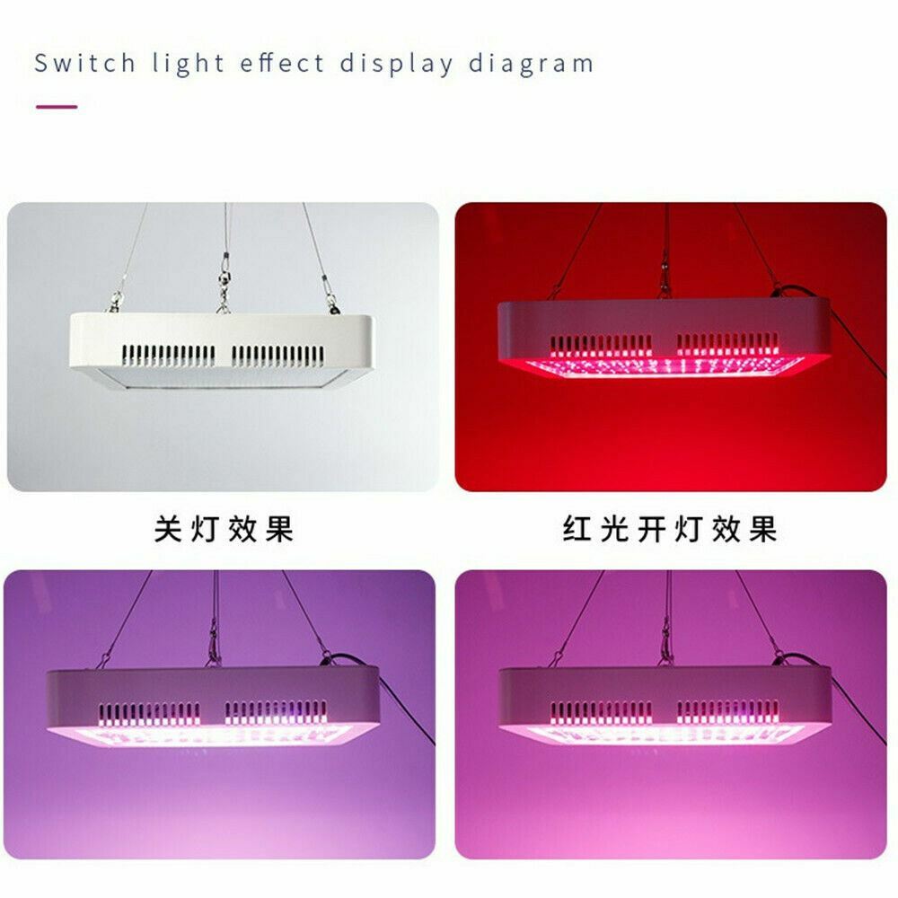 LED Grow Light Bulb Panel 40W Plant Growing Lamp w/ 240 LEDs Red Blue Veg Flower