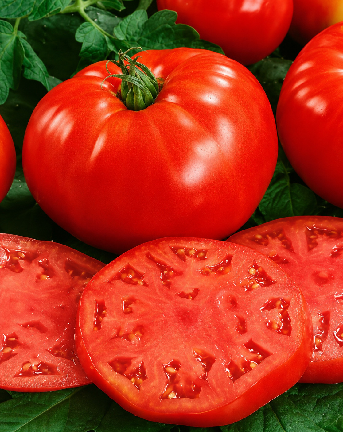 100 Heirloom Floridade Tomato Seeds – Determinate Heat Tolerant Slicing Tomato