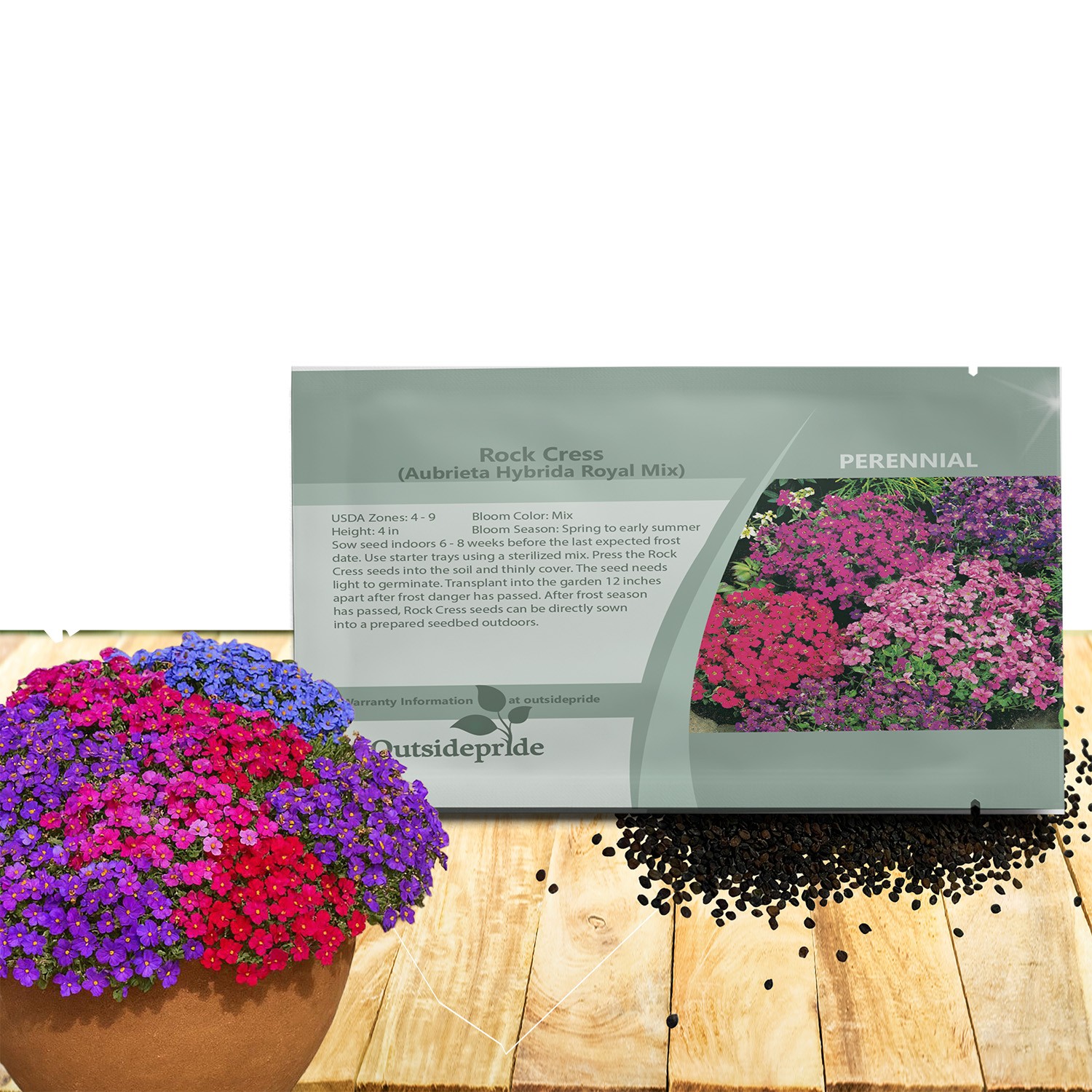 10000 Seeds Aubrieta Royal Mix Seeds – Rock Cress Ground Cover Seed