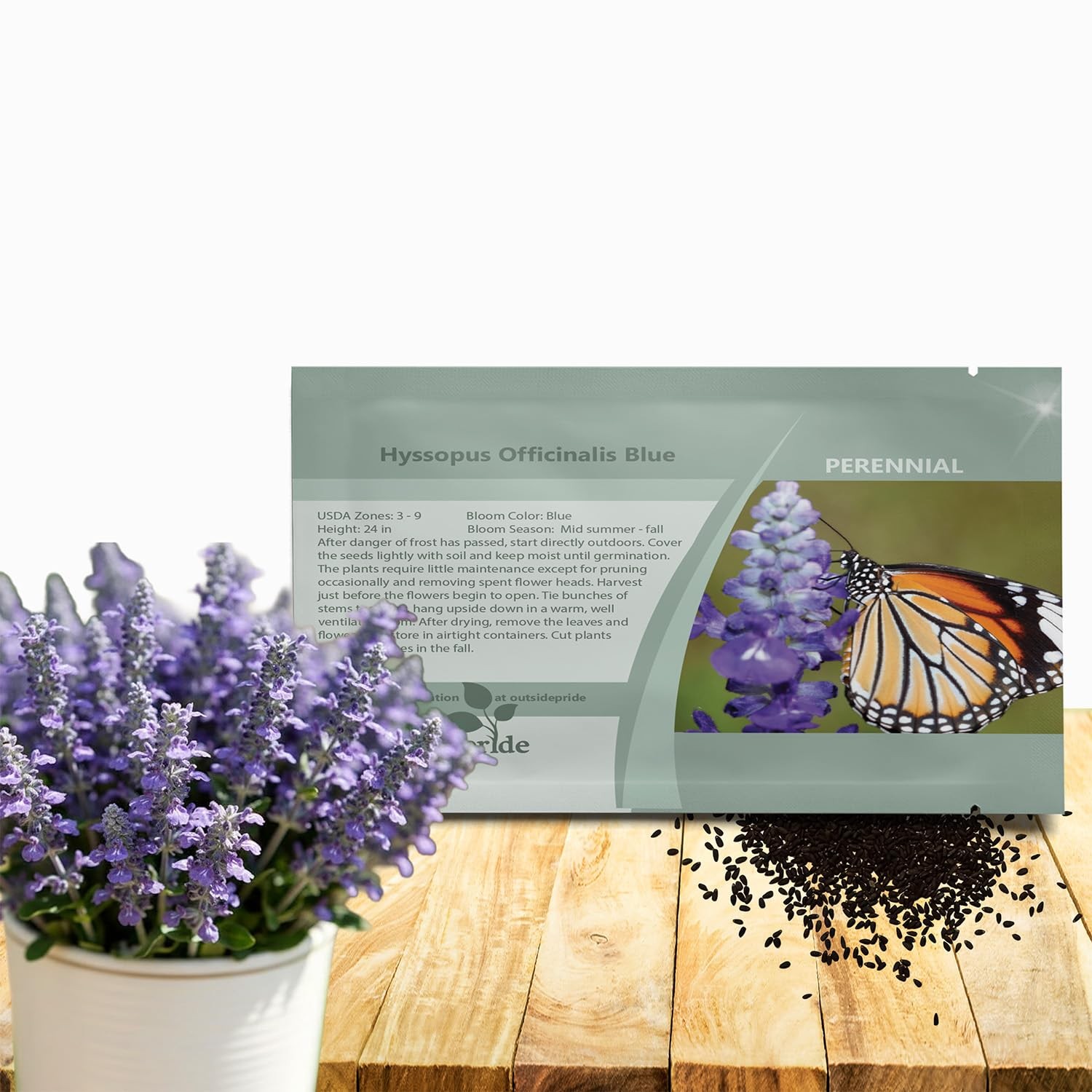 Blue Hyssop Seeds – 1000 Perennial Herb Seeds for Pollinator-Friendly Gardens