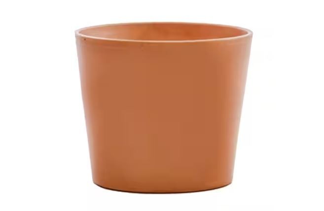 10 in. Medium Terra Cotta Clay Flair Pot Cabo