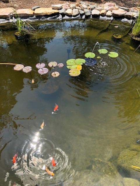 Pond Filter System$^