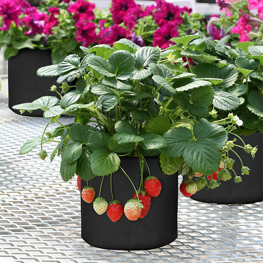 5/10 Pk Plant Grow Bags Thickened Nonwoven Fabric Pot Nursery Soil Bag 5/7Gallon
