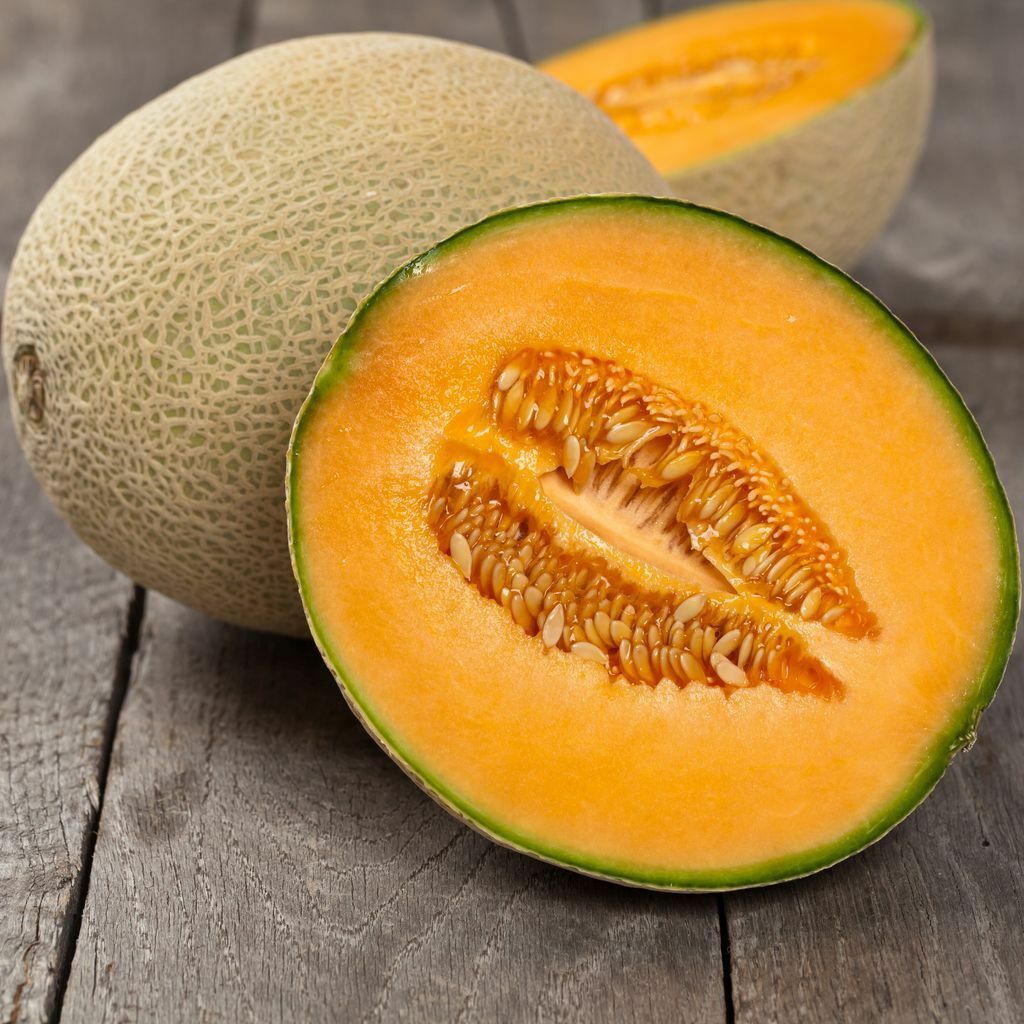 Iroquois Cantaloupe Seeds 50+ Cucumis Melo Muskmelon Fruit USA FREE SHIPPING