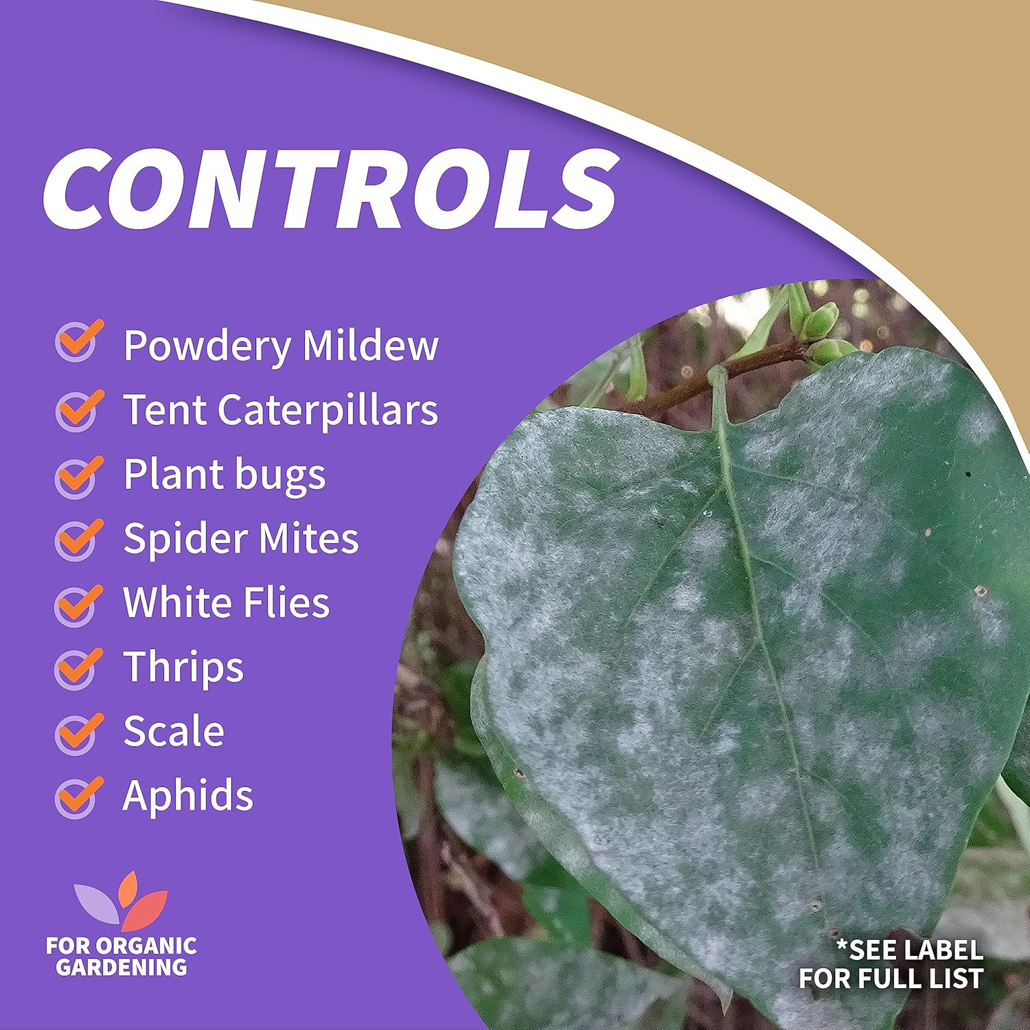 Insecticidal Soap, 32 Oz Ready-To-Use Spray Multi-Purpose Insect Control for Org