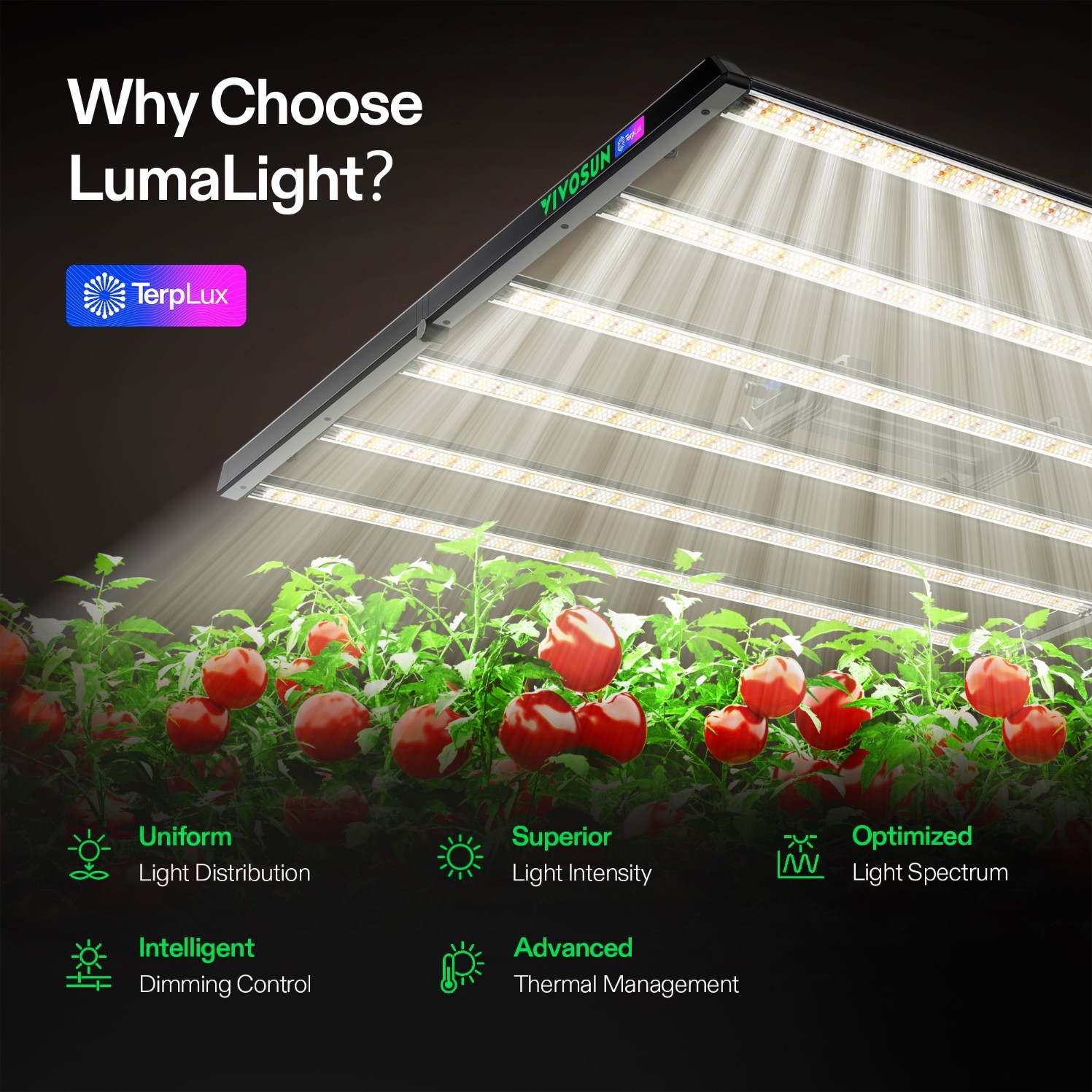 VIVOSUN Lumalight 750W LED Grow Light Full Spectrum 5x5ft Commercial Indoor Grow