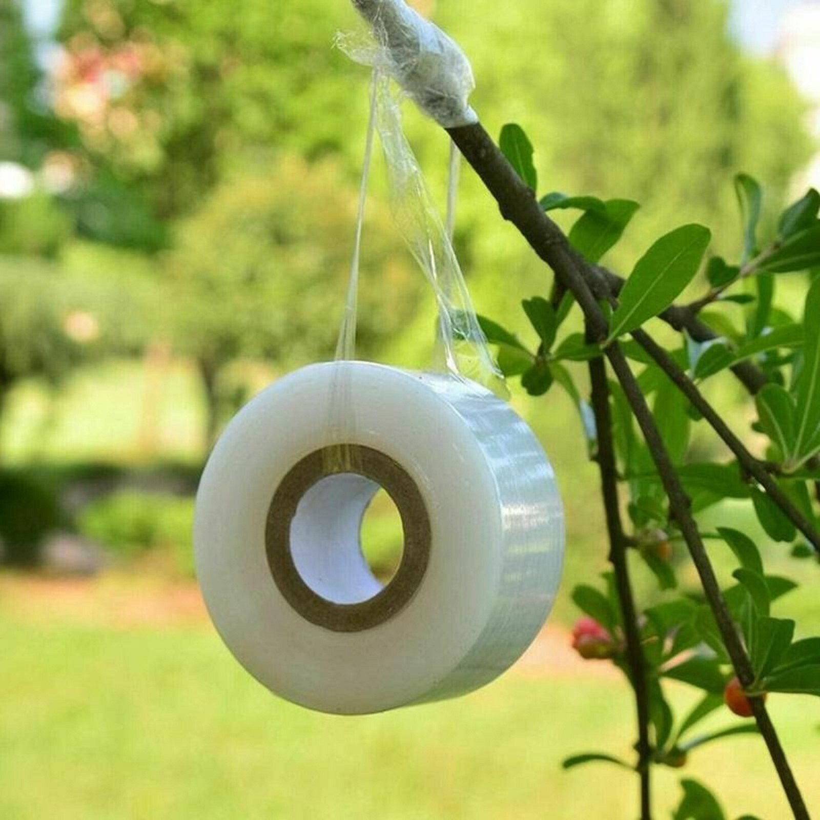 100M_2.5cm Nursery Grafting Tape Roll Stretchable Self-adhesive Degradable White