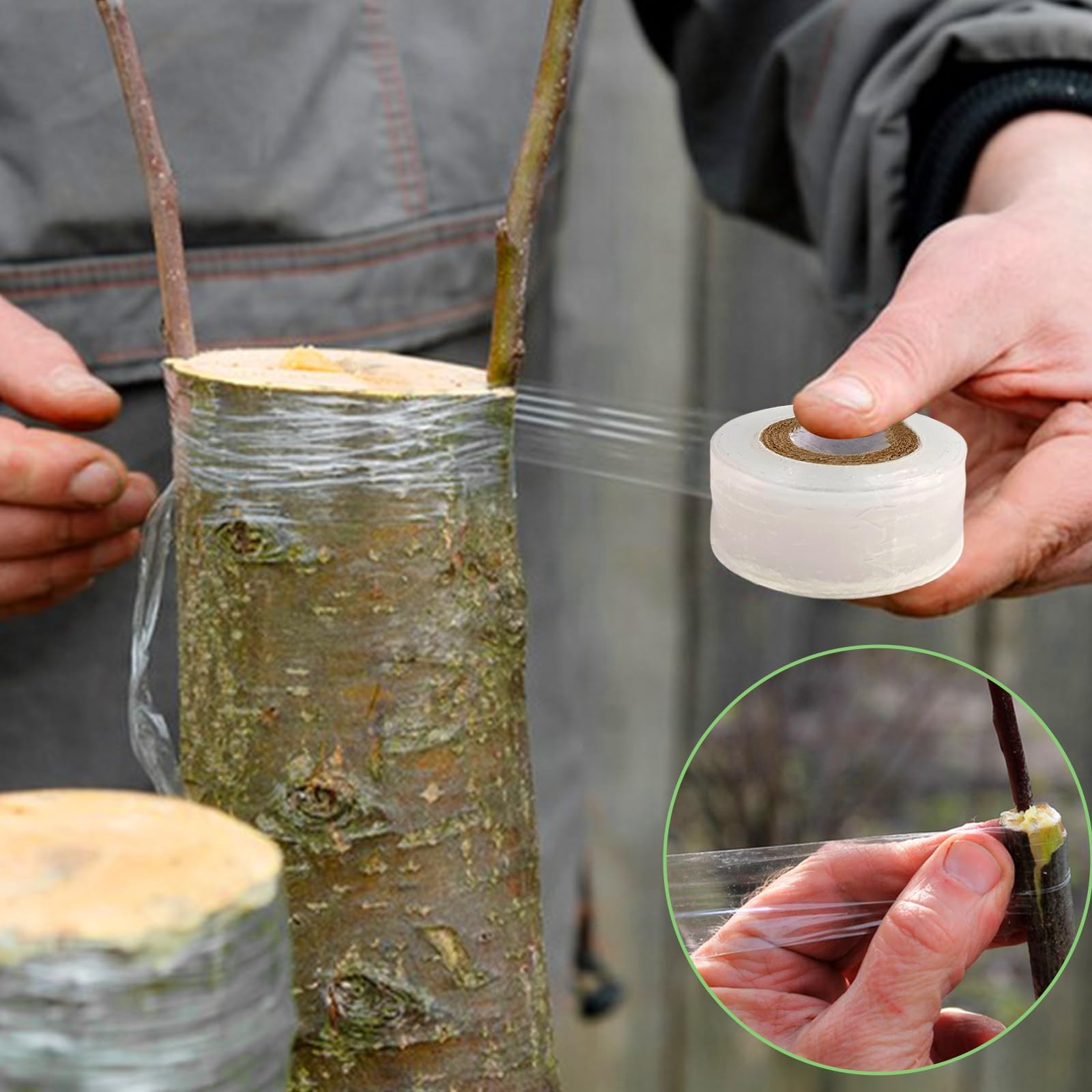 3 Pack Plant Grafting Tapes Stretchable Plant Repair Tapes Garden Grafting Ta…