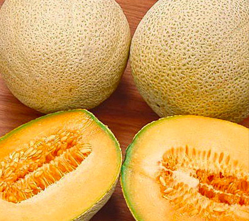 Iroquois Cantaloupe Seeds 50+ Cucumis Melo Muskmelon Fruit USA FREE SHIPPING