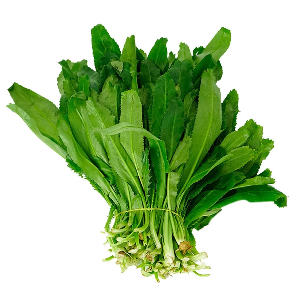 700+ Fresh Cilantro | Coriander | Culantro | Ngò Gai Seeds NON-GMO, USA Seller