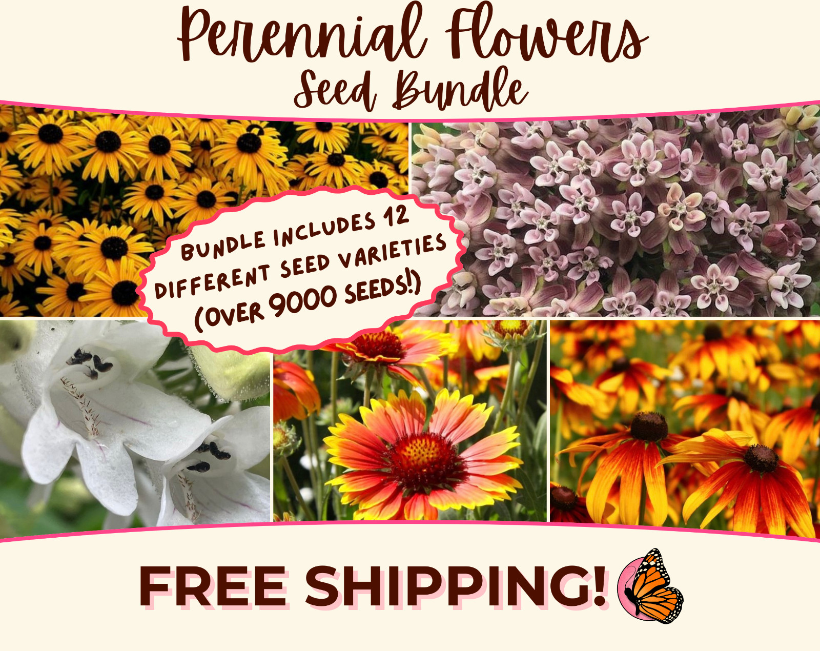 PERENNIAL FLOWERS SEED BUNDLE | 12 Unique Seed Packets for Flower Gardening!
