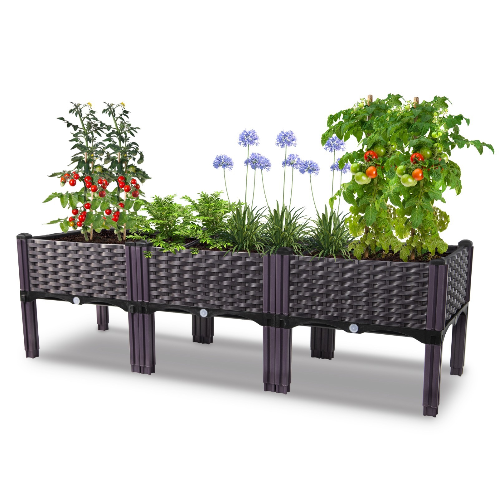 3-Pack Raised Garden Bed Kit: Rectangle Planter Box for Flowers & Vegetables