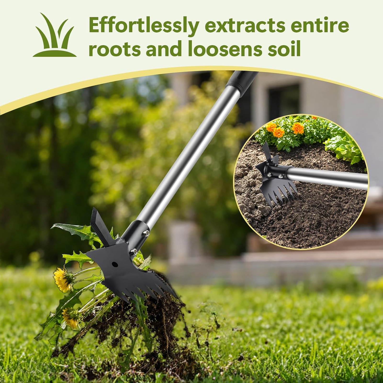 2 in 1 Crack Weeder and Weed Puller with 57 Inch Handle for Lawn Garden Yard