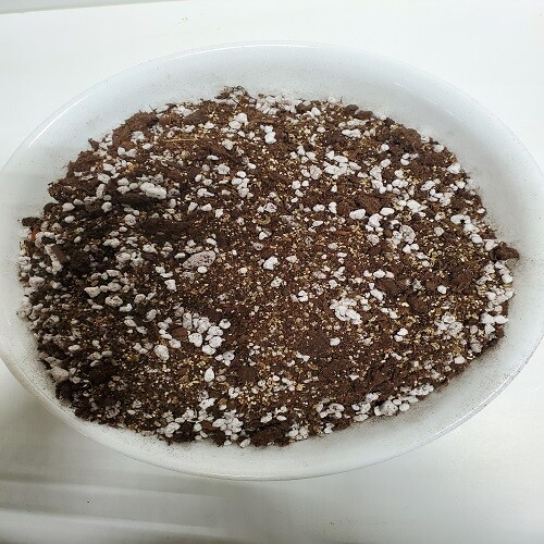 ORGANIC Potting Soil – Peat Moss 50% – Perlite 25% – Vermiculite 25% –