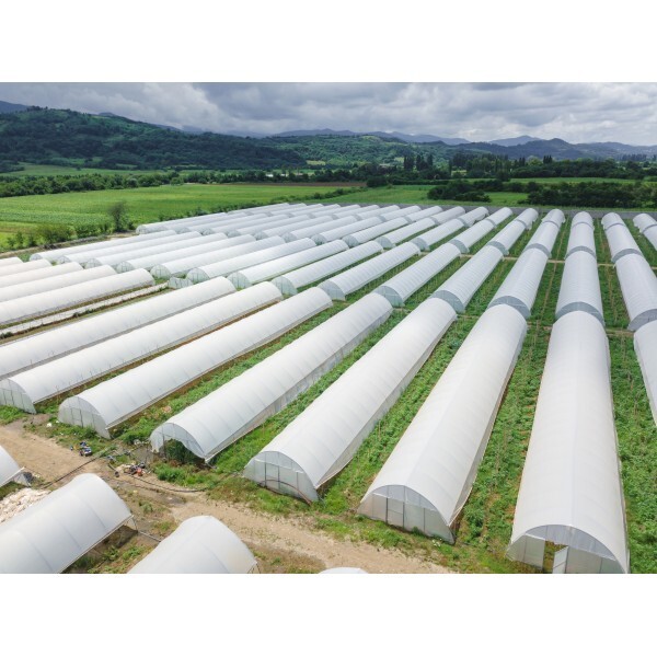 String Reinforced 4 Year UV Resistant 10 mil White Greenhouse Plastic Sheeting