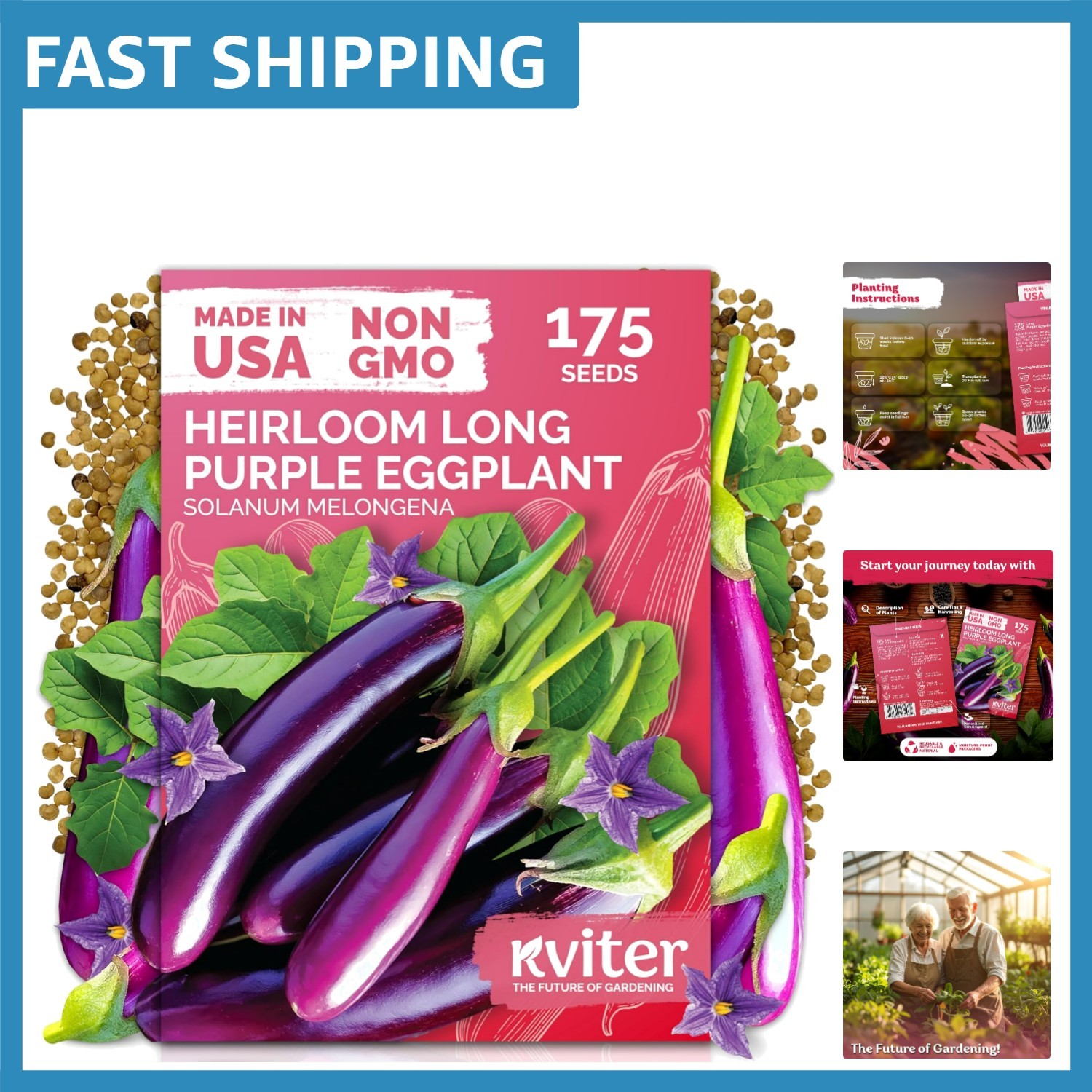 175 Pack of High-Yield Purple Eggplant Seeds – Ideal for Containers & Gardens