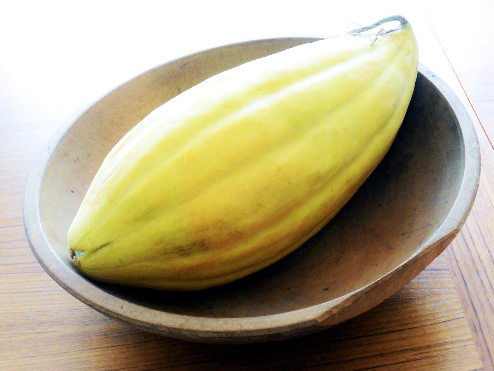 Banana Cantaloupe Seeds | Orange Casaba Melon Papaya Tropical Fruit Seeds 2024