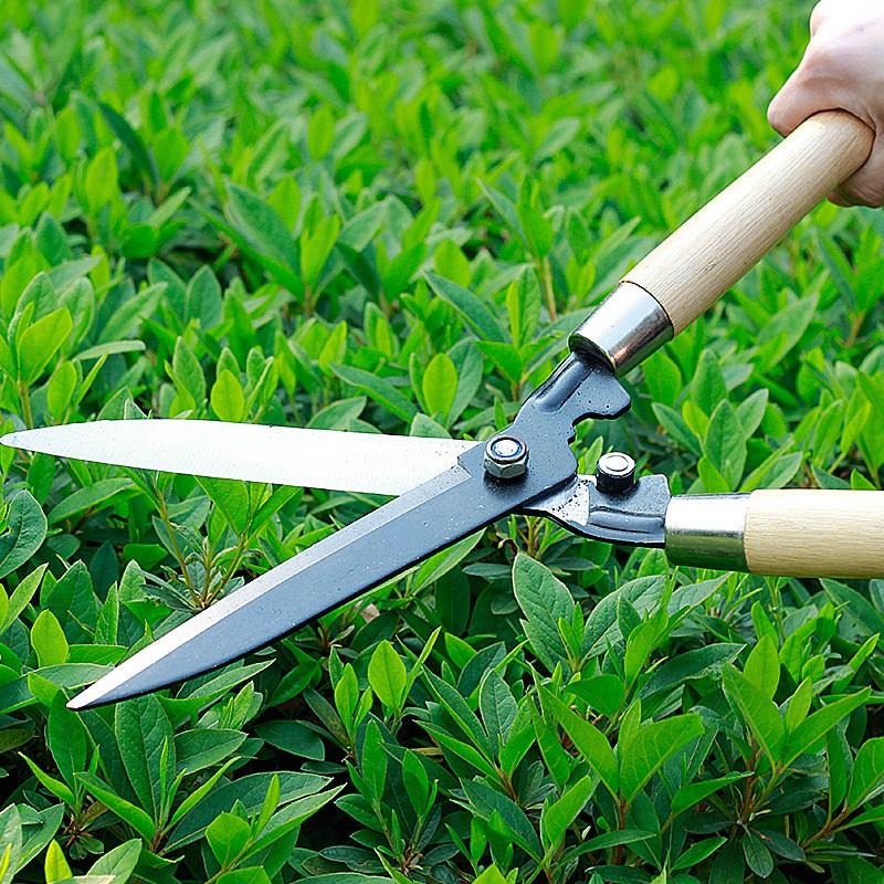 High Carbon Steel Garden Shears, Professional Pruning Clippers for Hedge