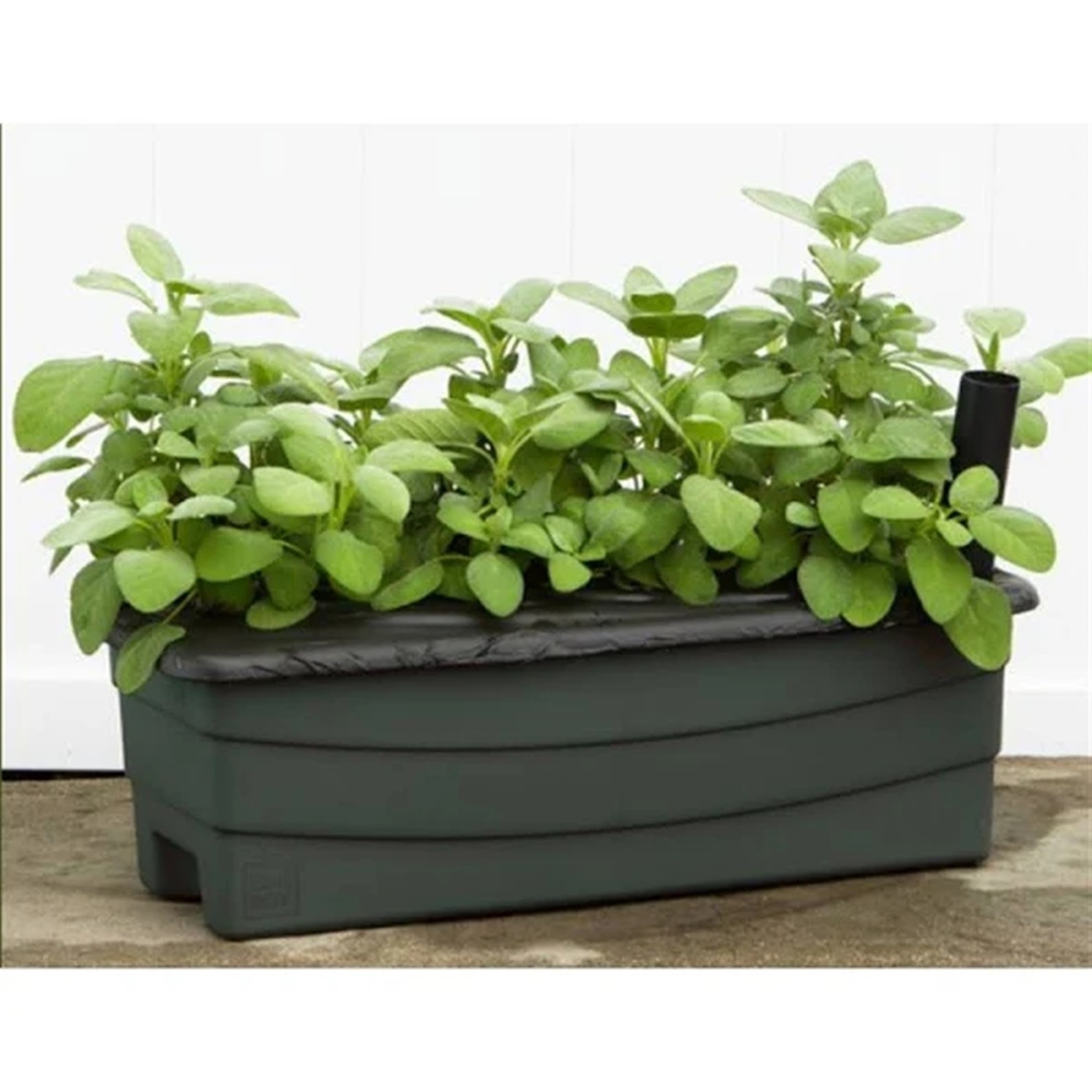 Novelty (#80651) EarthBox Junior Garden Kit, Natural, Green