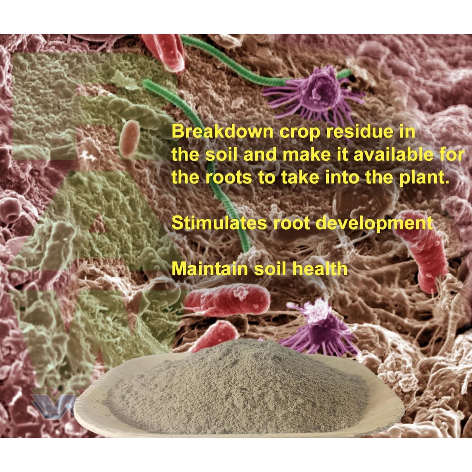 RAW Microbes Grow Stage Beneficial Bacteria & Fungi Water-Soluble Powder, 2oz