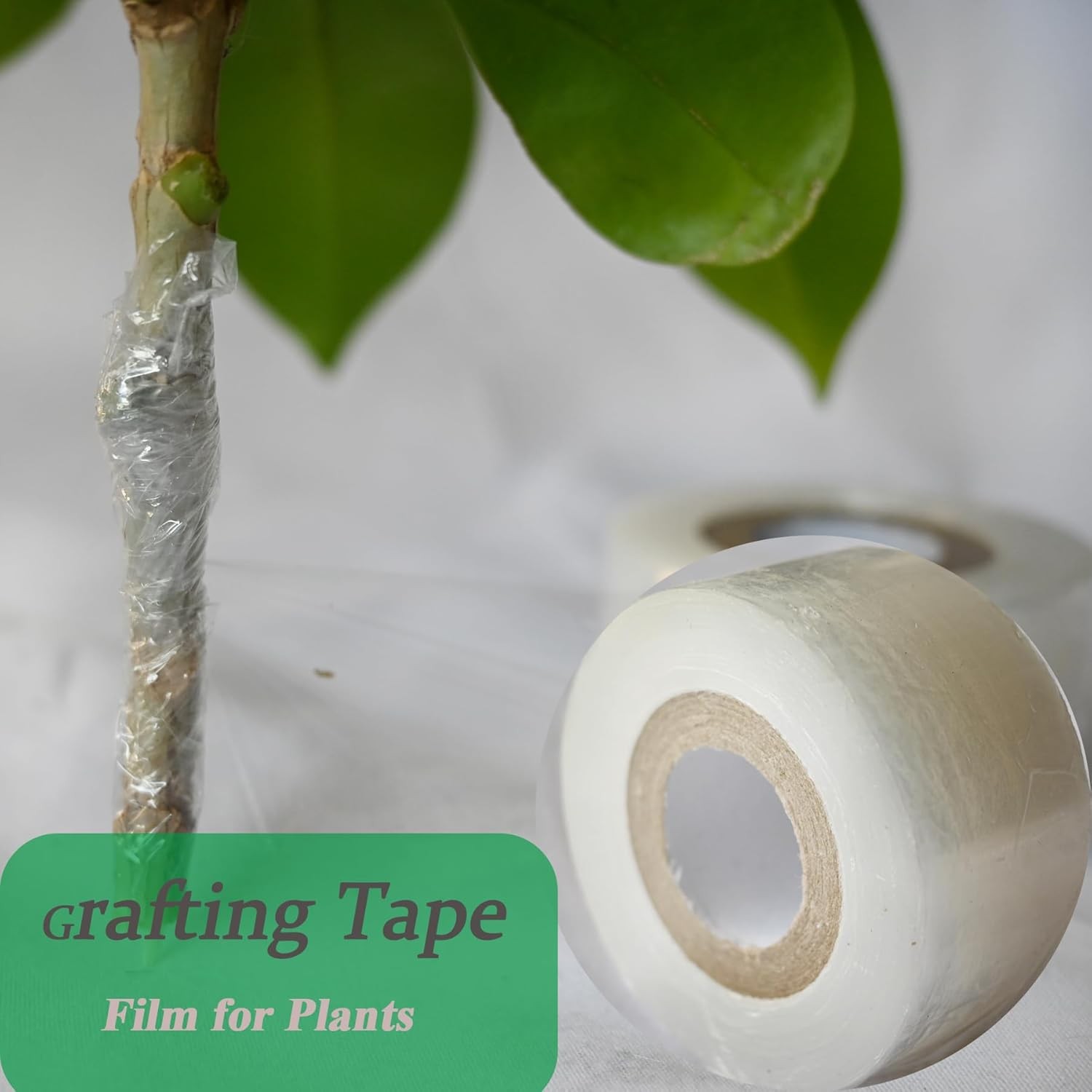 Nursery Grafting Tape, Plant Buddy Tape for Fruit Trees Grafting Self-Adhesive P