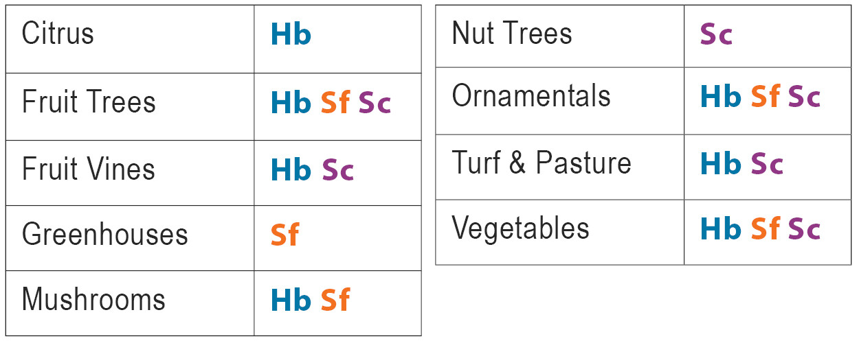 Beneficial Nematodes Triple Blend HB+SC+SF Targets 200+ Soil Pests