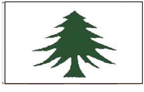 3×5 Massachusetts Navy 1775-1777 Pine Tree Washington Cruisers Flag 3’x5′ Banner