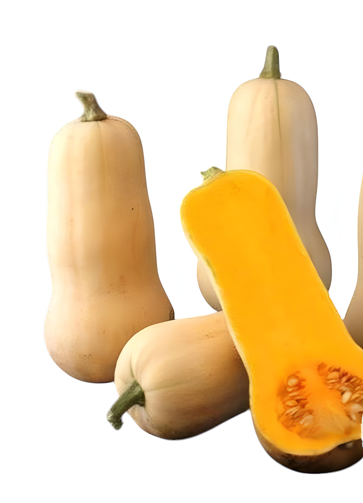 25+ Waltham Butternut Squash Seeds| Heirloom | NON GMO Vegetable Squash Seeds
