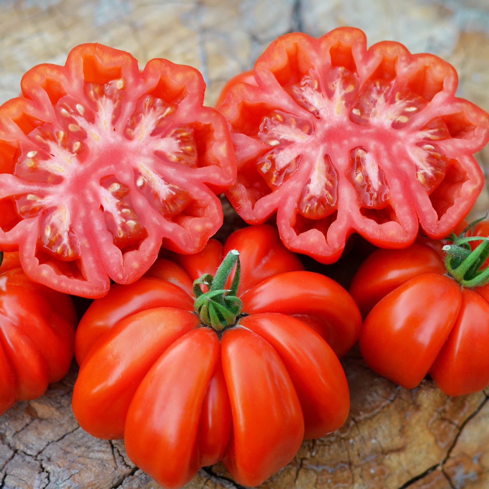 Rosso Sicilian Tomato Seeds | Heirloom / Non-GMO | Free Shipping | 1298