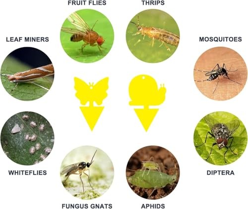Gideal 36-Pack Dual-Sided Sticky Traps for Flying Insects – Fungus Gnats
